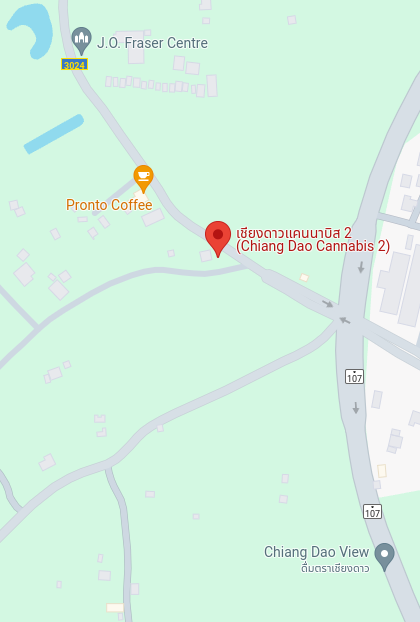Chiang Dao Cannabis Farm Shop 2 Google Map