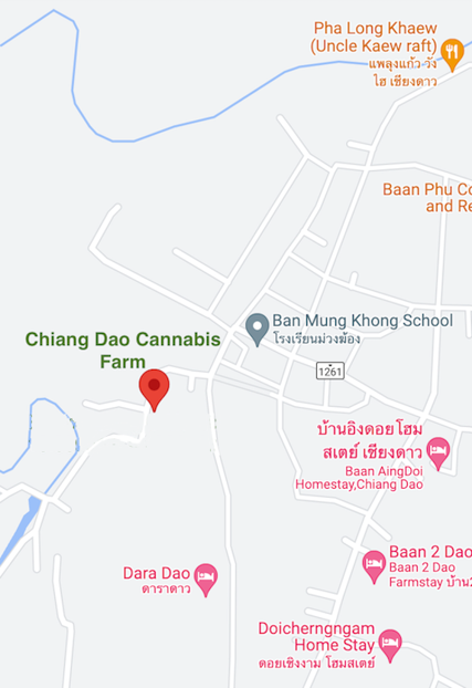 Chiang Dao Cannabis Farm Shop 1 Google Map