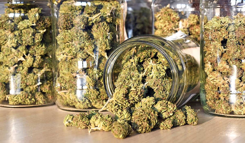 Cannabis cure